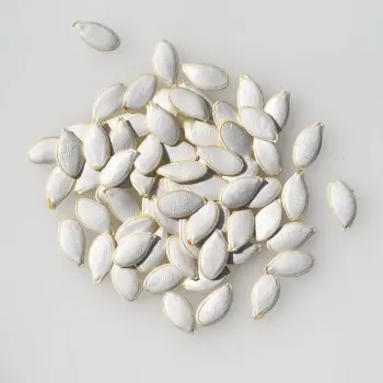 Natural Squash Seed